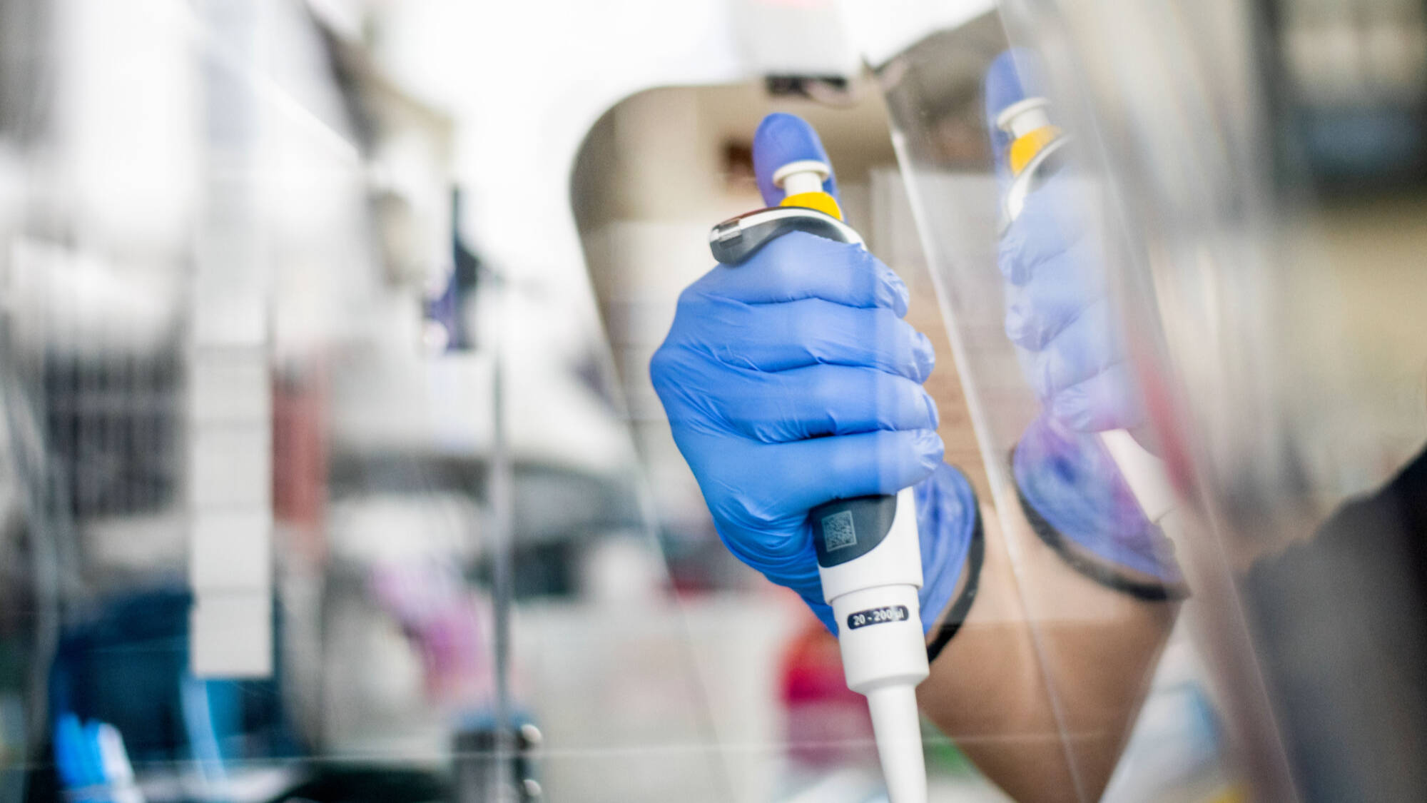 Closeup of person pipetting in hood.